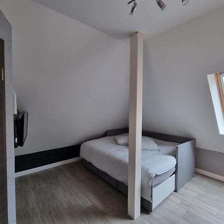 Studio De La Demi Lune Plobsheim المظهر الخارجي الصورة